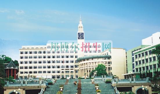 樂山職業技術學院是幾專