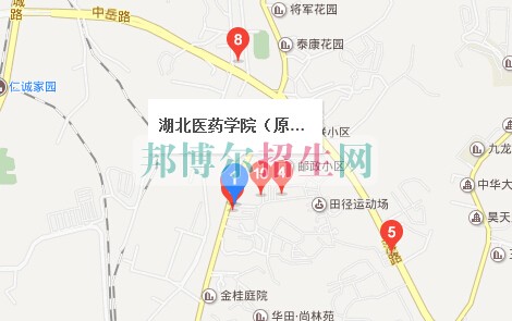 湖北醫藥學院