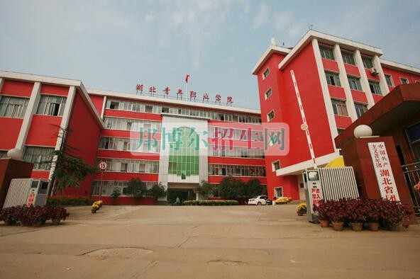 湖北青年職業學院是幾專