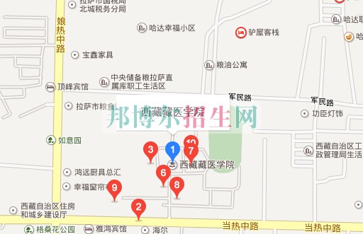 西藏藏醫學院