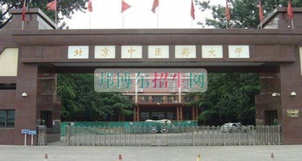 哪個藥劑專業學校好