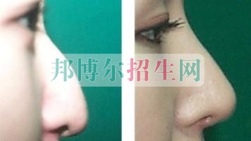  哪個大專學校醫學美容好