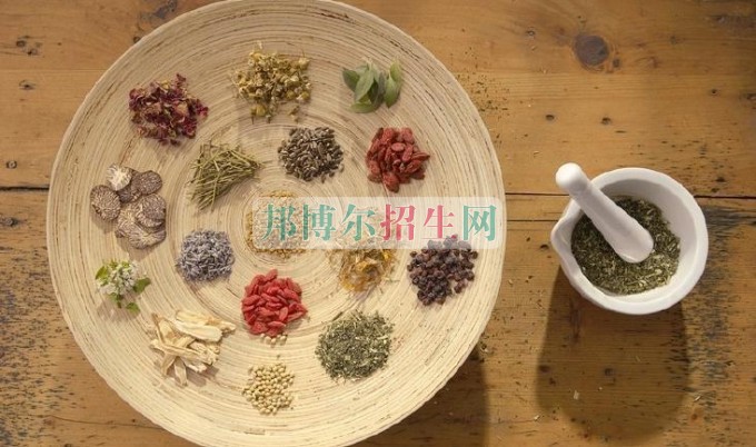 成都男生讀中醫學好嗎