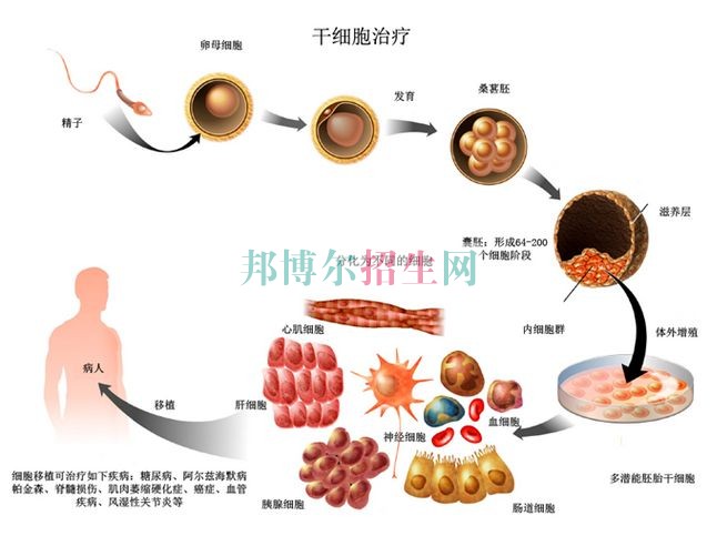 成都臨床醫學學校好不好