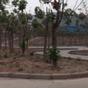 四川西昌交通學(xué)校