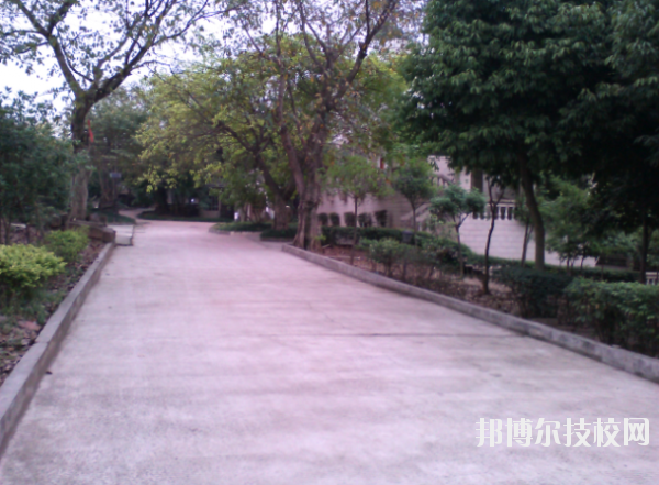 四川蜀都衛生學校6
