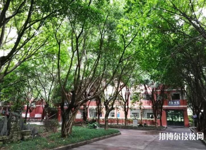 重慶舞蹈學(xué)校2020年報(bào)名條件、招生要求、招生對(duì)象