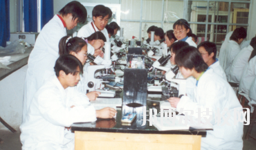 武威衛生學校2020年招生錄取分數線