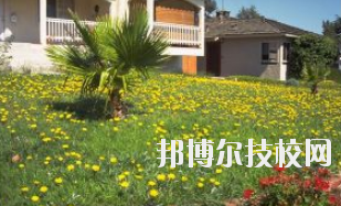 同學(xué)們需要依據(jù)自己所了解的情況來選擇學(xué)校，那么這也決定看同學(xué)們需要去了解這些學(xué)校的招生簡章，以便可以清楚的了解學(xué)校信息。下面就由小編給同學(xué)們介紹的有關(guān)于蘭州園藝學(xué)校招生簡章以及相關(guān)情況，以供大家參考了解。  蘭州園藝學(xué)校層次：中專  蘭州園藝學(xué)校性質(zhì)：公辦  蘭州園藝學(xué)校地址：蘭州市西固區(qū)范家坪  蘭州園藝學(xué)校介紹 蘭州園藝學(xué)校是全省唯一一所園藝、設(shè)施園藝、園林花卉、生態(tài)環(huán)境保護、建筑裝飾、旅游服務(wù)管理、計算機網(wǎng)絡(luò)技術(shù)、古建筑油漆彩畫等專業(yè)為一體的國辦全日制普通中等專業(yè)學(xué)校。  學(xué)校地處全省政治經(jīng)濟文化中心蘭州市,占地面積8萬平方米。有各類教學(xué)實驗室14個，擁有圖書館、閱覽室、組培室、微機室、語音室、電教室、校園網(wǎng)等各類教學(xué)設(shè)施。校園環(huán)境幽靜、空氣清新、規(guī)劃科學(xué)、設(shè)計獨特。校園內(nèi)溫?zé)釒Щɑ芷贩N齊全，三季有花，四季常青，教學(xué)生活設(shè)施齊全，師資力量雄厚校風(fēng)優(yōu)良。學(xué)校在珠海、深圳、上海、昆明、蘭州和平牡丹園等地有多處實習(xí)基地。學(xué)校以獨特的專業(yè)設(shè)置，超長的市場預(yù)測和嚴(yán)格的管理，為社會培養(yǎng)了大批實用型中等專業(yè)人才，畢業(yè)生就業(yè)面積廣，就業(yè)率高。  了解了蘭州園藝學(xué)校的信息后，就知道簡章也是可以用來選擇學(xué)校的。以上就是小編給大家整理的蘭州園藝學(xué)校招生簡章，想要了解更多有關(guān)于學(xué)校信息的同學(xué)們是可以直接咨詢了解邦博爾相關(guān)網(wǎng)站。