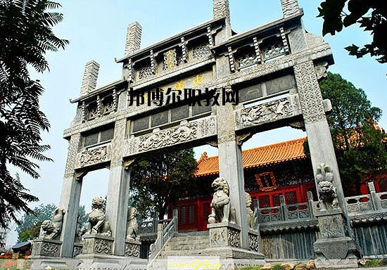 河北美術學院2020年報名條件、招生要求、招生對象