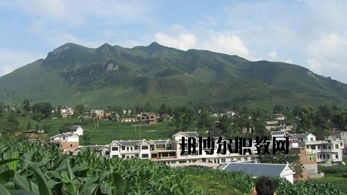 貴州羅甸中等職業學校網站網址
