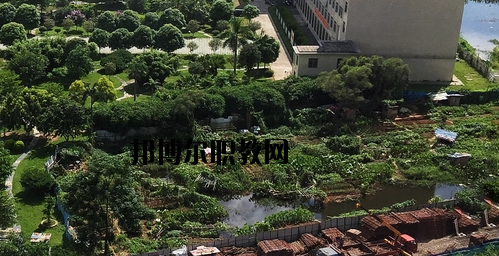廣西工商技師學(xué)院2020年有哪些專(zhuān)業(yè) 