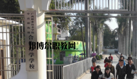 東興中等職業技術學校2020年招生簡章 