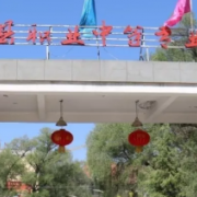 武山職業中等專業學校