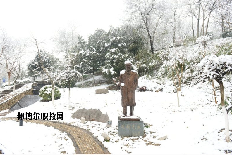 南京工業(yè)大學(xué)2020年報名條件、招生要求、招生對象