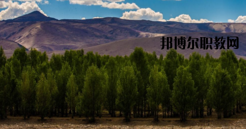 桂東衛生學校2020年宿舍條件