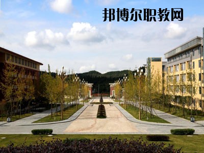 來賓衛生學校2020年招生簡章