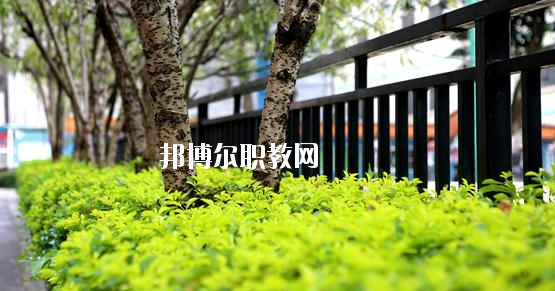 廣西輕工技師學院2020年招生辦聯(lián)系電話
