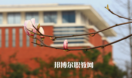 貴州2021年中專專業有哪些