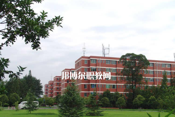 西安2022年現在上中專學校什么專業好