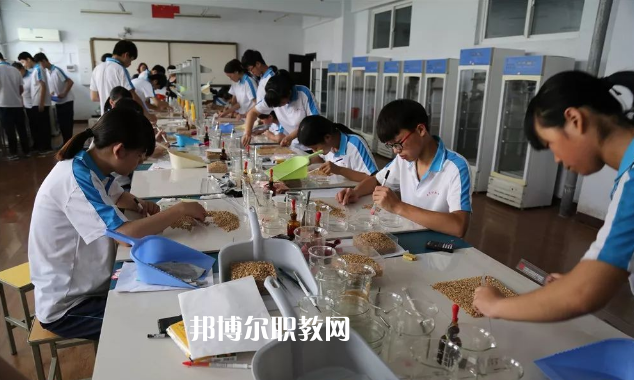 武邑奮飛職業技術中等學校地址在哪里