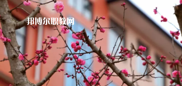 成都廣信數字技術職業學校2022年招生簡章