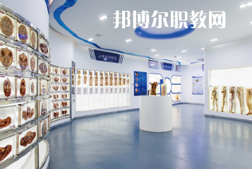 珠海市衛生學校網站網址