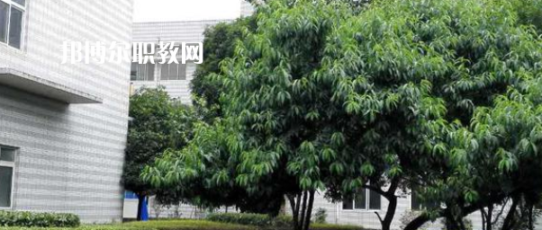 成都市中山職業技術學校2022年報名條件、招生要求、招生對象