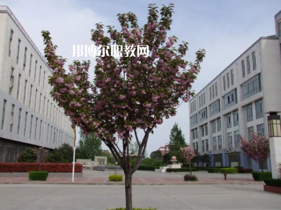 陳倉區(qū)職業(yè)教育中心2022年報(bào)名條件、招生要求、招生對象