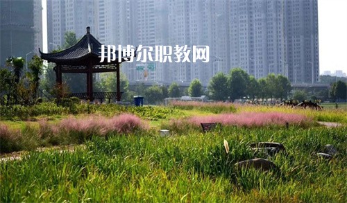 徐州生物工程職業技術學院中專部2022年報名條件、招生要求、招生對象