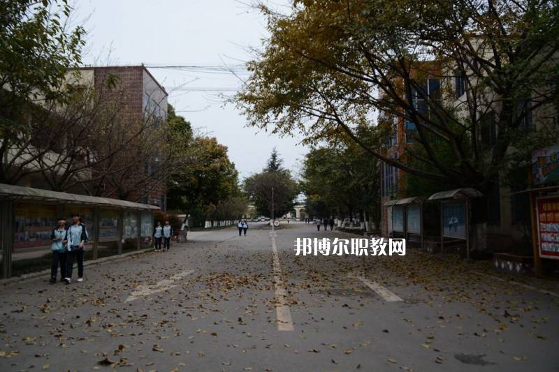 四川大學附設華西衛生學校2022年網站網址