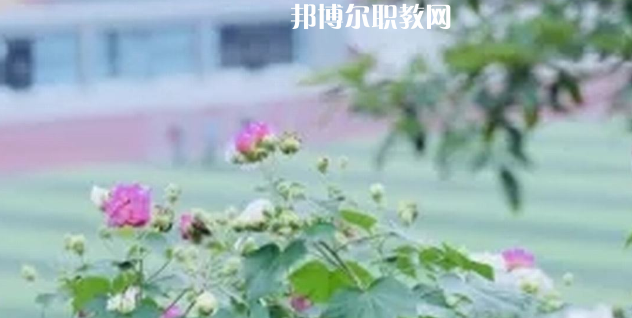 眉山技師學院地址在哪里，哪個地區，哪個城市?