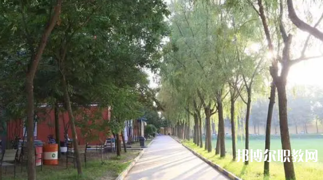 2023西安大中科技技工學校招生計劃 招生人數是多少(附要求、條件、對象)