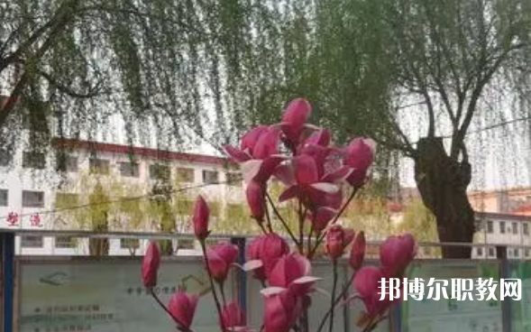 2023柏鄉縣職教中心招生計劃 招生人數是多少(附要求、條件、對象)