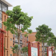 貴港市白云職業(yè)技術(shù)學校
