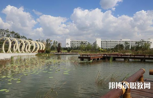 2024鞍山市現代服務學校招生計劃 招生人數是多少(附要求、條件、對象)
