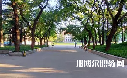 2025泰安技工學校最新排名前三名單